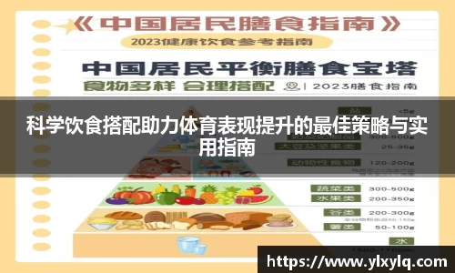 科学饮食搭配助力体育表现提升的最佳策略与实用指南