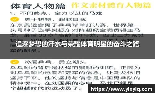 追逐梦想的汗水与荣耀体育明星的奋斗之路